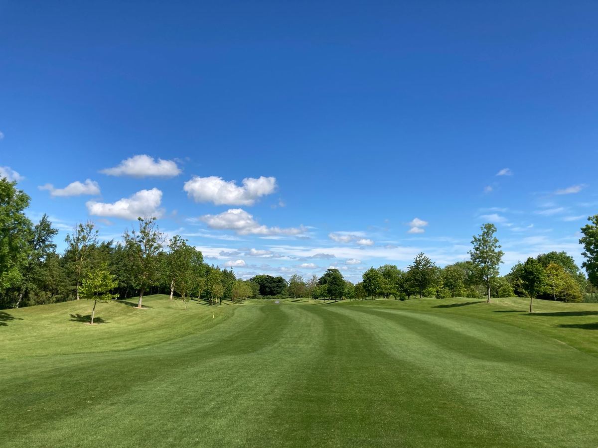 A striped golf fairway lined with deciduous trees under a blue sky