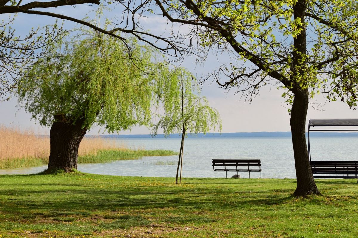 A calm lake in a park, edged by mown grass, benches and hardwood trees